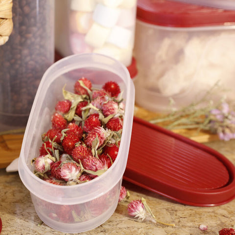 Food Container (0.6L) - Asters Maldives