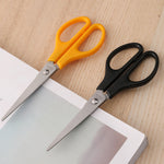 Scissor - Asters Maldives