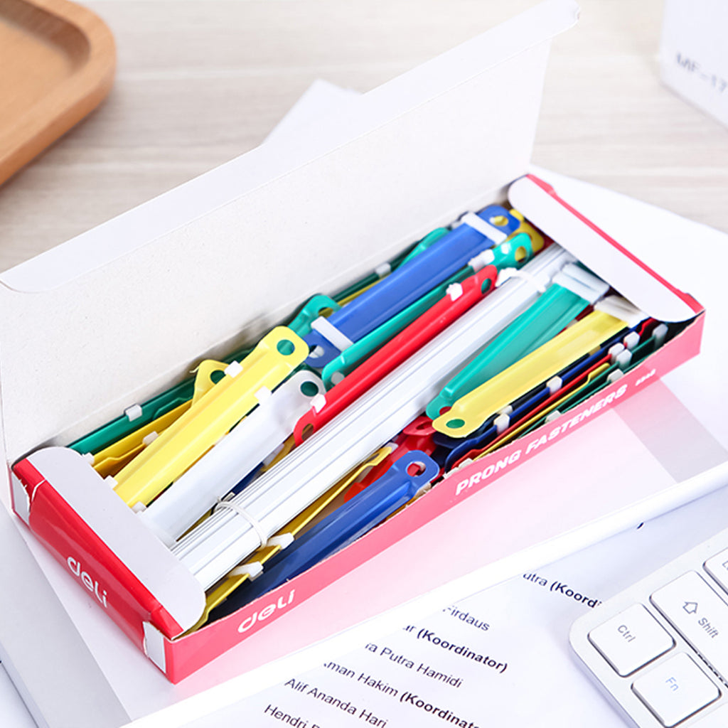 Paper Fastener (50 PCs) - Asters Maldives