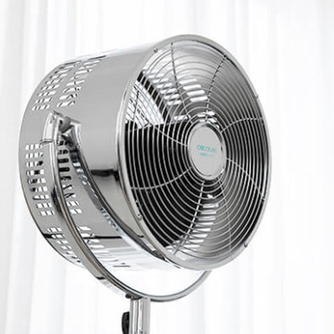 Stand Fan - Asters Maldives