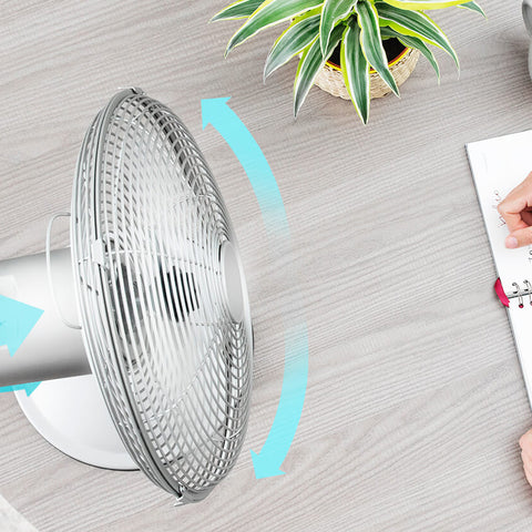 Table Fan (Ø 12") - Asters Maldives