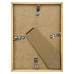Picture Frame - Asters Maldives