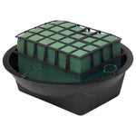 Plant Pot - Asters Maldives