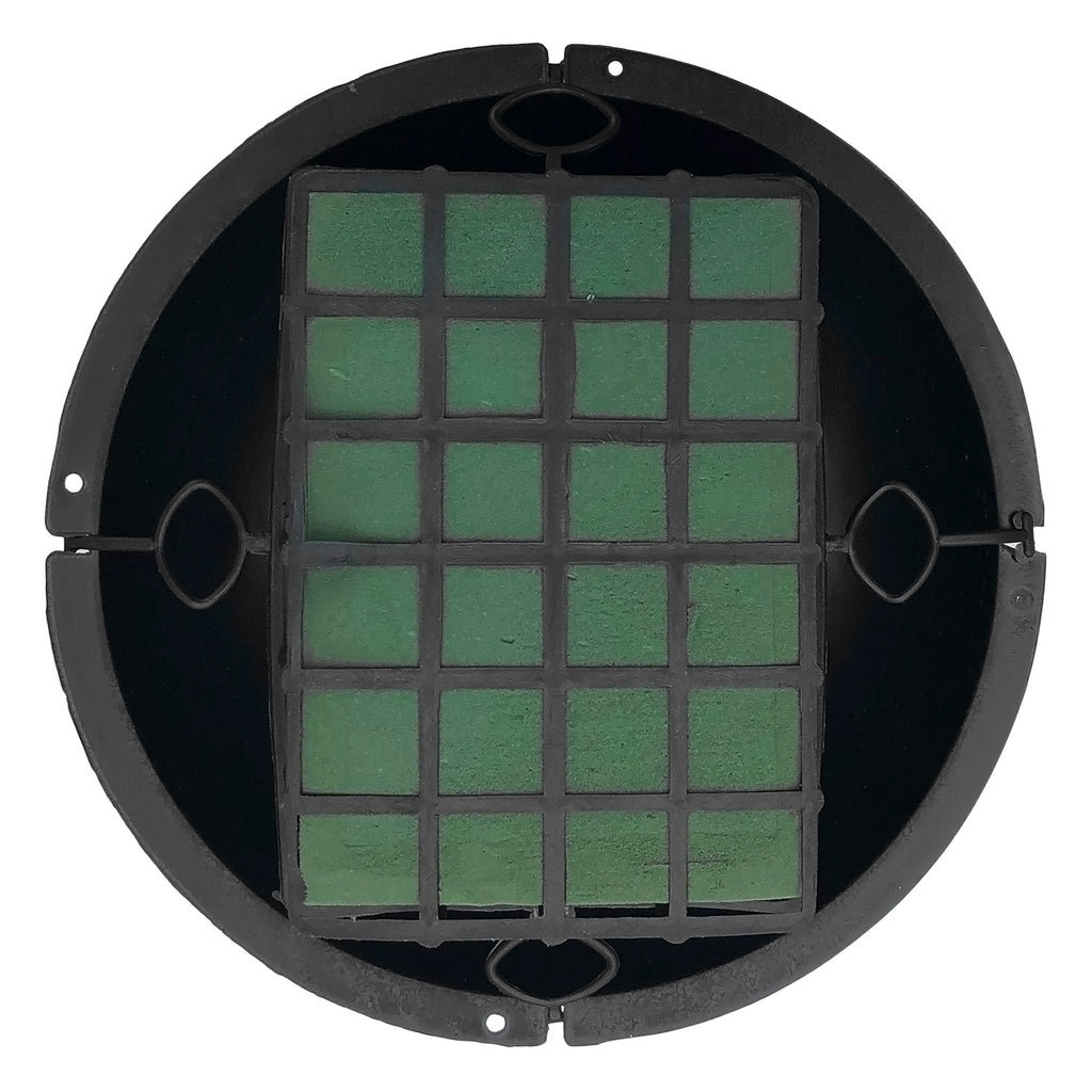 Plant Pot - Asters Maldives