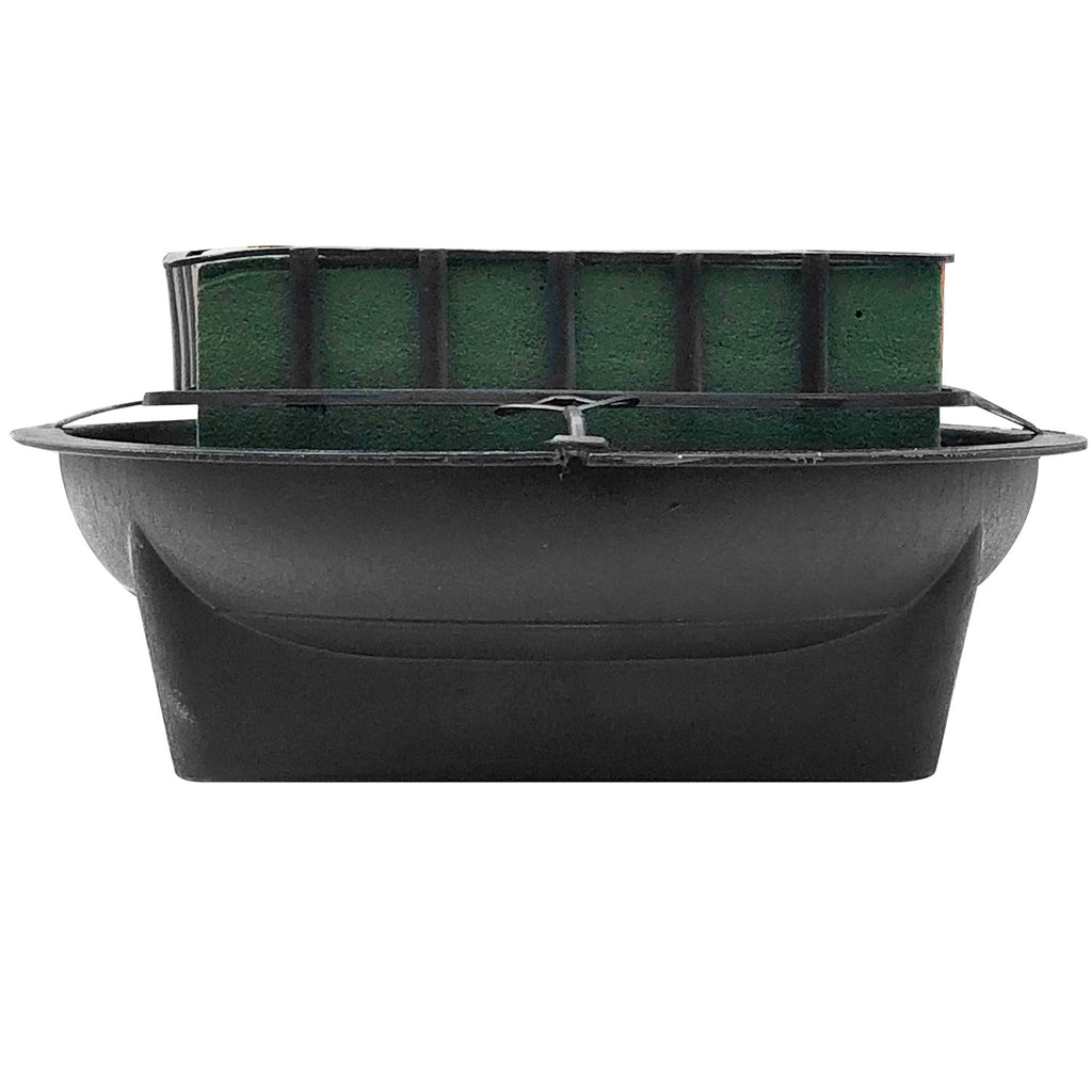 Plant Pot - Asters Maldives