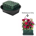 Plant Pot - Asters Maldives