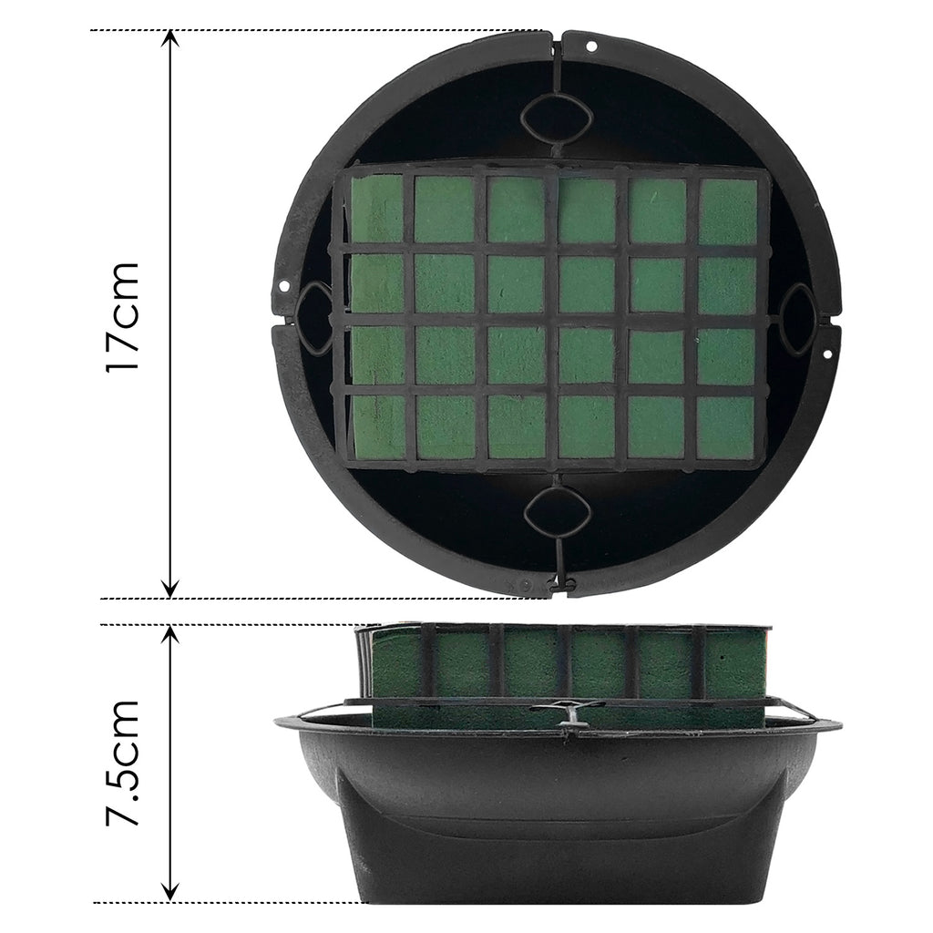 Plant Pot - Asters Maldives