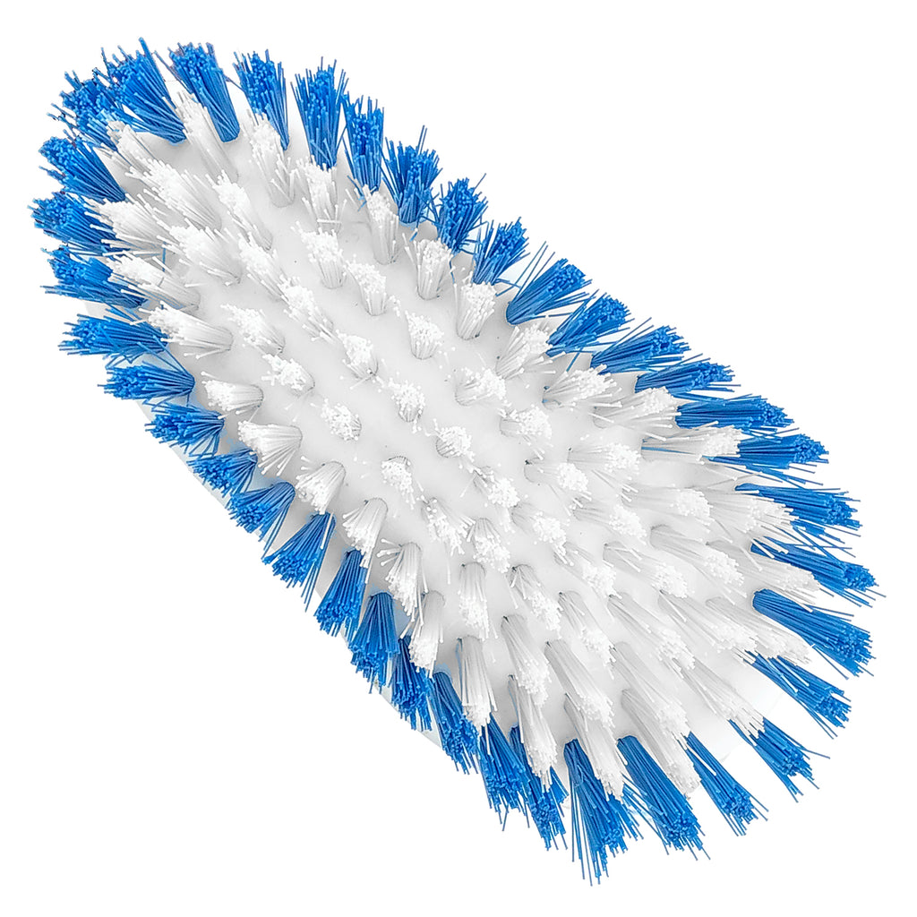 Scrubber Brush - Asters Maldives