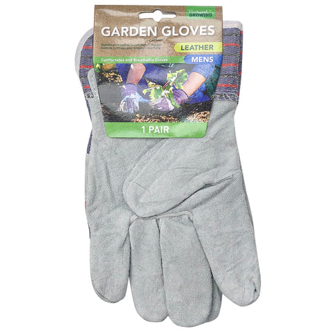 Gloves (1 Pair) - Asters Maldives