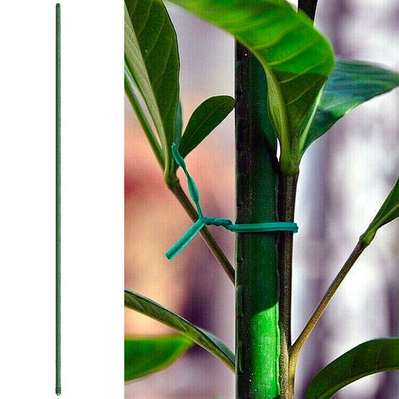 Garden Stake (120cm) - Asters Maldives