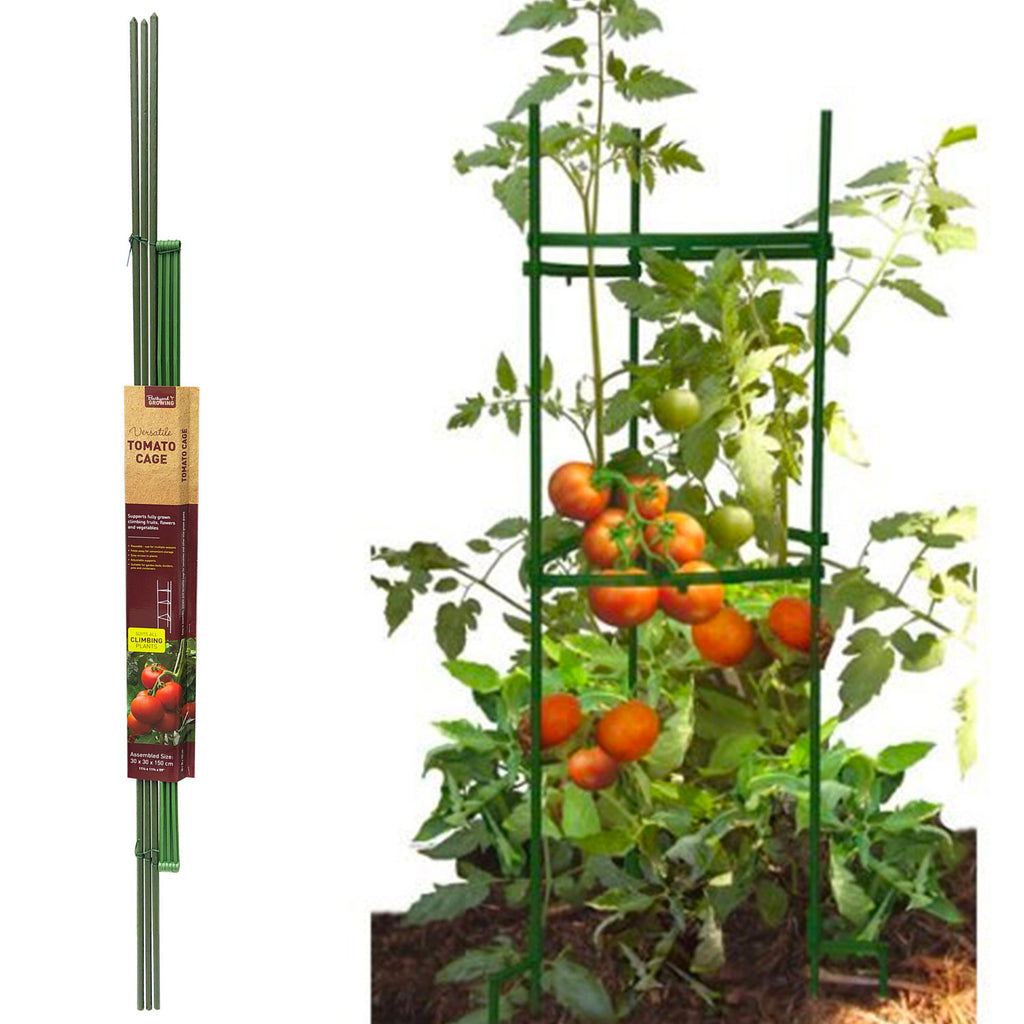 Tomato Cage - Asters Maldives