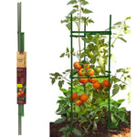 Tomato Cage - Asters Maldives