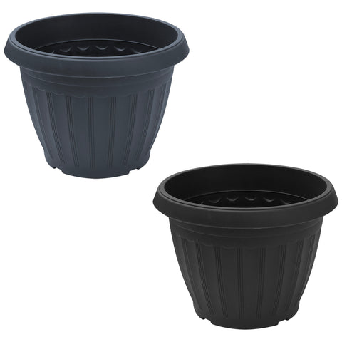 Plant Pot - Asters Maldives