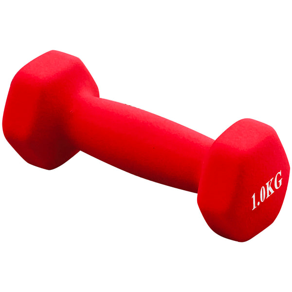 Dumbbell (1 kg)