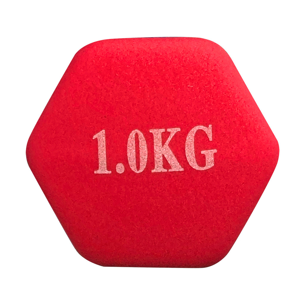 Dumbbell (1 kg) - Asters Maldives
