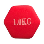 Dumbbell (1 kg) - Asters Maldives