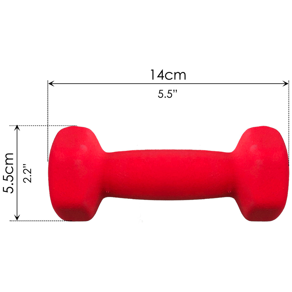 Dumbbell (1 kg) - Asters Maldives