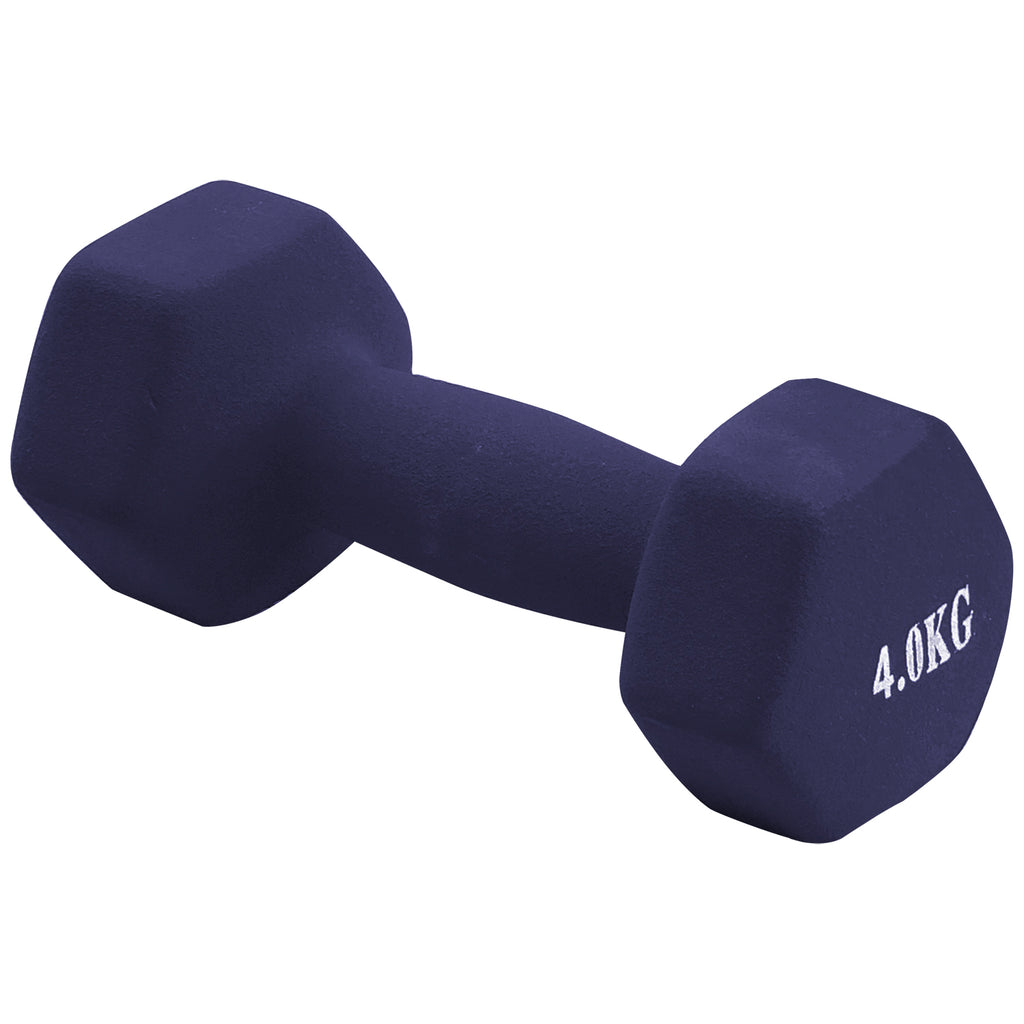 Dumbbell (4 kg) - Asters Maldives