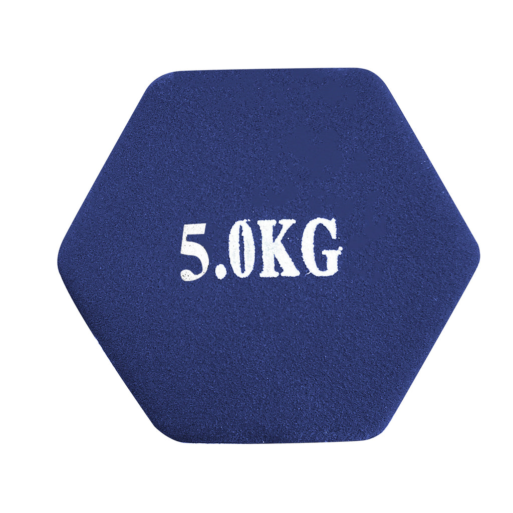Dumbbell (5 kg) - Asters Maldives