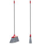 Broom - Asters Maldives