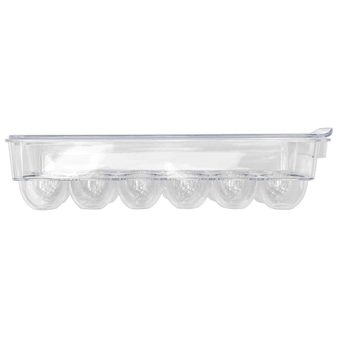 Egg Tray - Asters Maldives