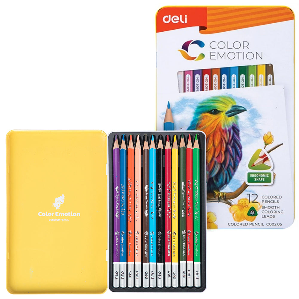 Color Pencil Set (12 PCs) - Asters Maldives
