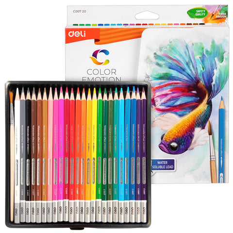 Color Pencil Set (24 PCs) - Asters Maldives