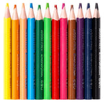 Color Pencil Set - Asters Maldives
