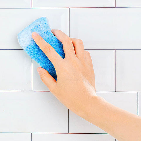 Scourer (5 PCs) - Asters Maldives