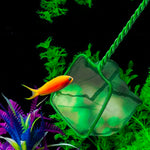 Aquarium Fish Net - Asters Maldives