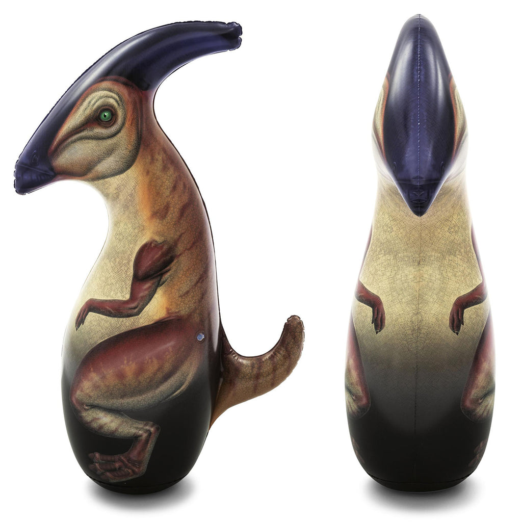 Bop Bag - Asters Maldives