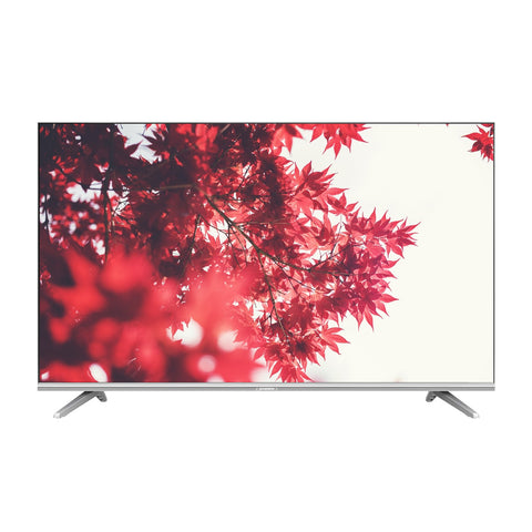 TV (LED) - 43" - Asters Maldives