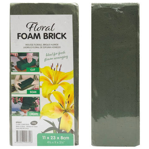 Floral Foam - Asters Maldives