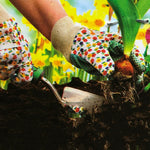 Gloves (1 Pair) - Asters Maldives