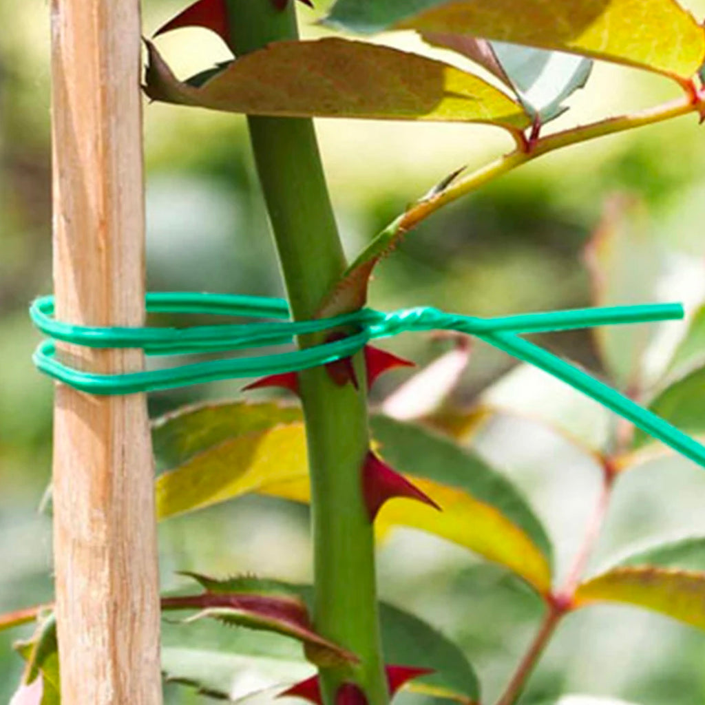 Twist Tie Wire, 2PCs (30m) - Asters Maldives