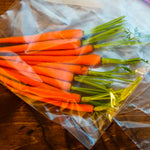 Ziplock Bag (40 PCs) - Asters Maldives