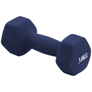 Dumbbell (3 kg) - Asters Maldives