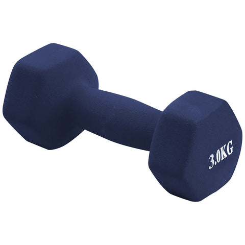 Dumbbell (3 kg) - Asters Maldives