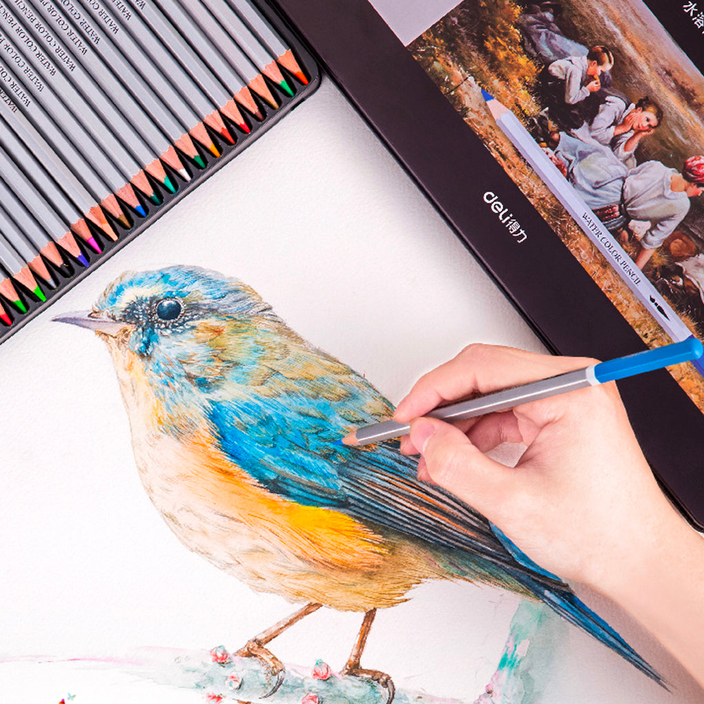 Color Pencil Set (36 PCs) - Asters Maldives