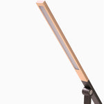 Desk Lamp - Asters Maldives