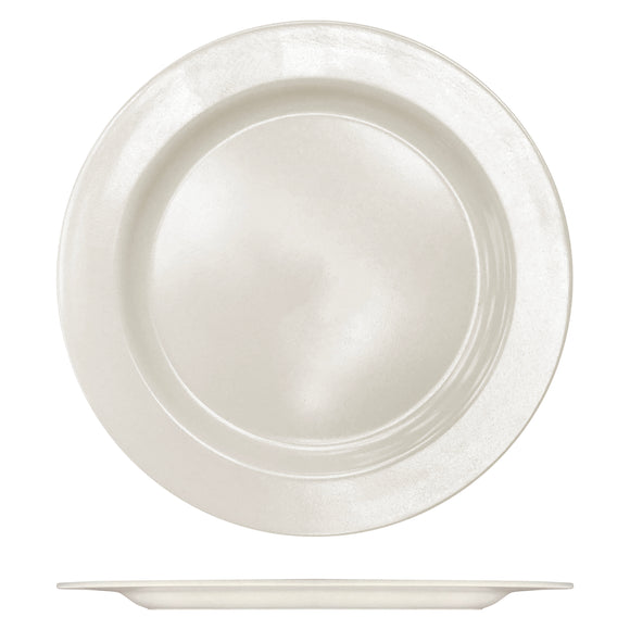Dinner Plate (10