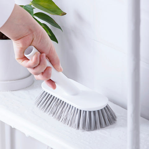 Scrubber Brush - Asters Maldives