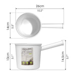 Water Dipper - Asters Maldives