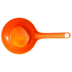 Water Dipper - Asters Maldives