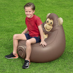 Air Chair - Asters Maldives