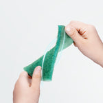 Scourer (2 PCs) - Asters Maldives