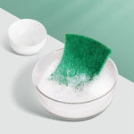 Scourer (2 PCs) - Asters Maldives
