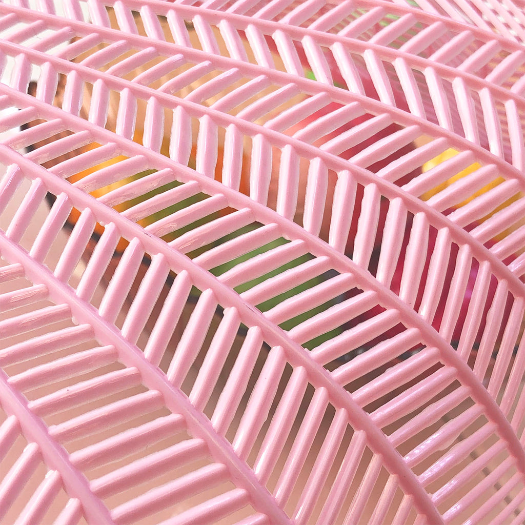 Food Cover - Asters Maldives