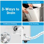 Dehumidifier (6L) - Asters Maldives