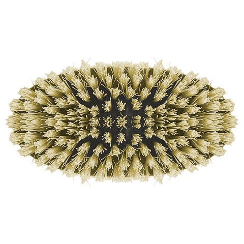 Scrubber Brush - Asters Maldives